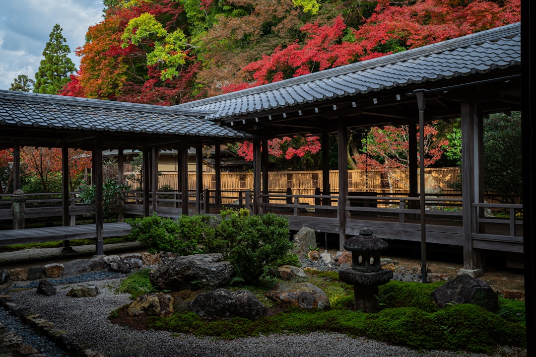 Photo Japanese garden